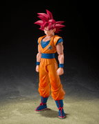 SUPER SAIYAN GOD SON GOKU "GOD AURA"